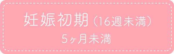 妊娠初期（16週未満）5ヶ月未満