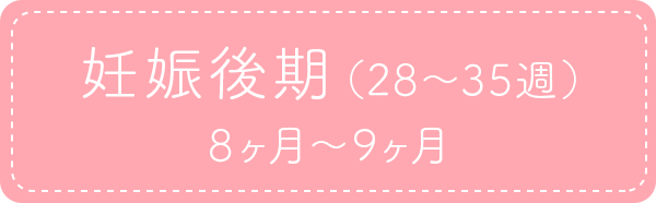 妊娠後期（28～35週）8ヶ月～9ヶ月